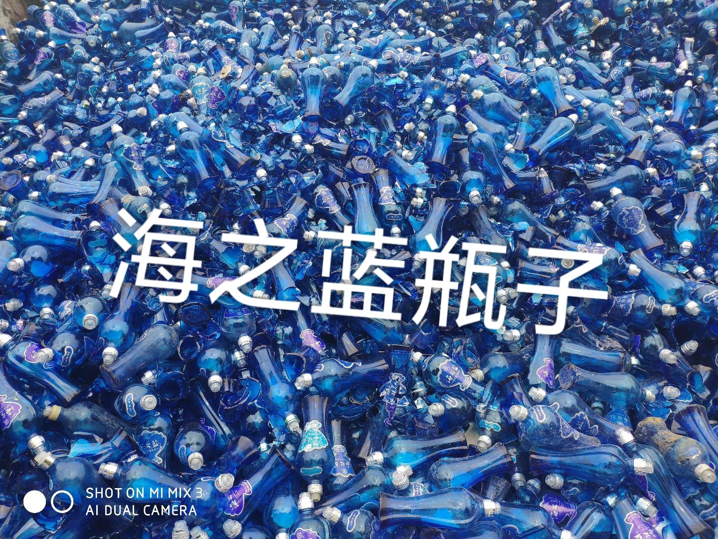 润州区海之蓝瓶回收